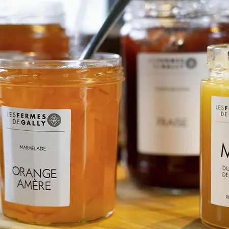 Ibis Styles Versailles Quentin En Yvelines 酒店 3*